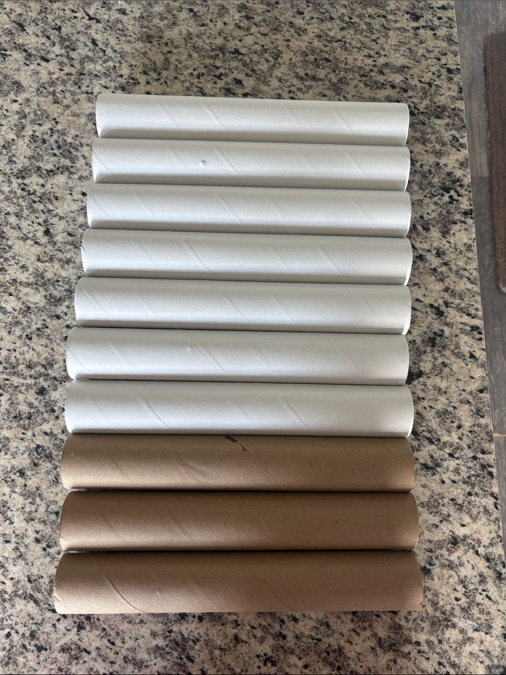 Set of 10 paper towel rolls
